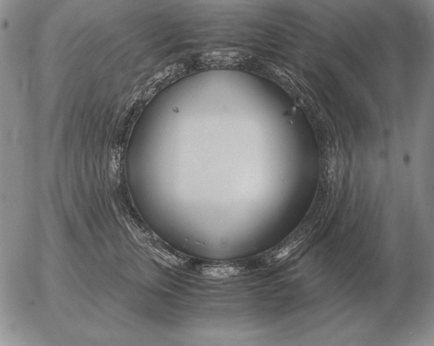 X0000053110759200508012124