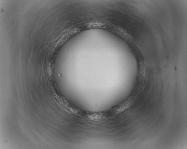 X0000053110761200508012124