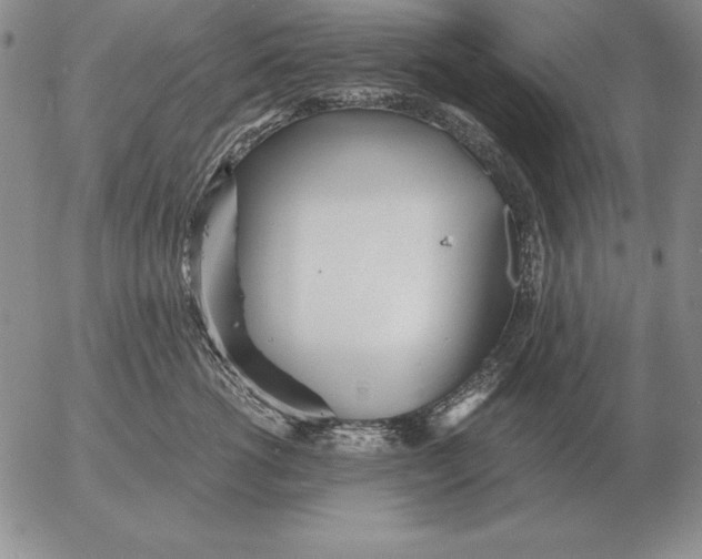 X0000053110762200508012124