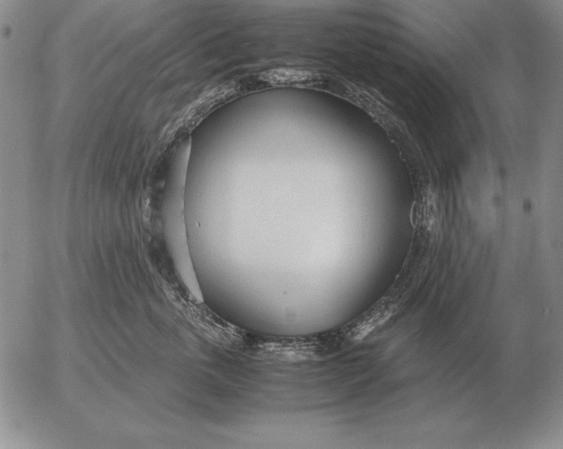 X0000053110763200508012124