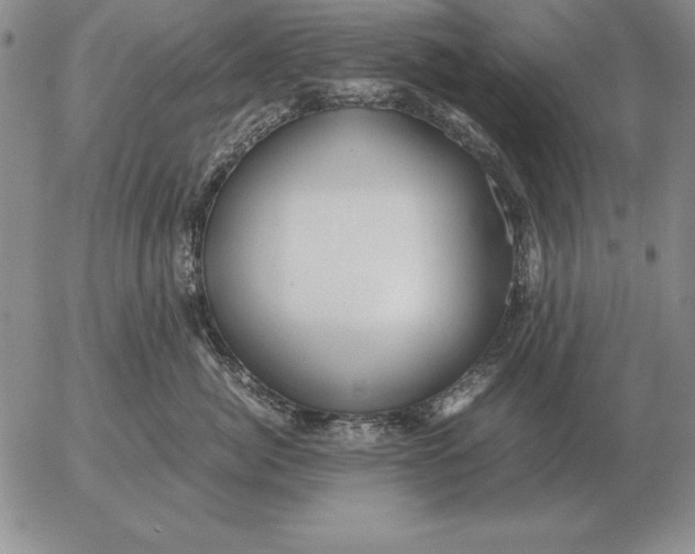 X0000053110764200508012124