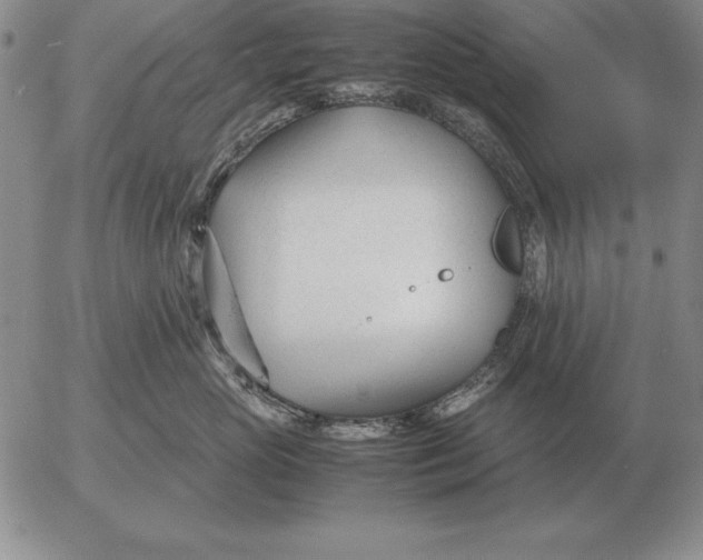 X0000053110765200508012124