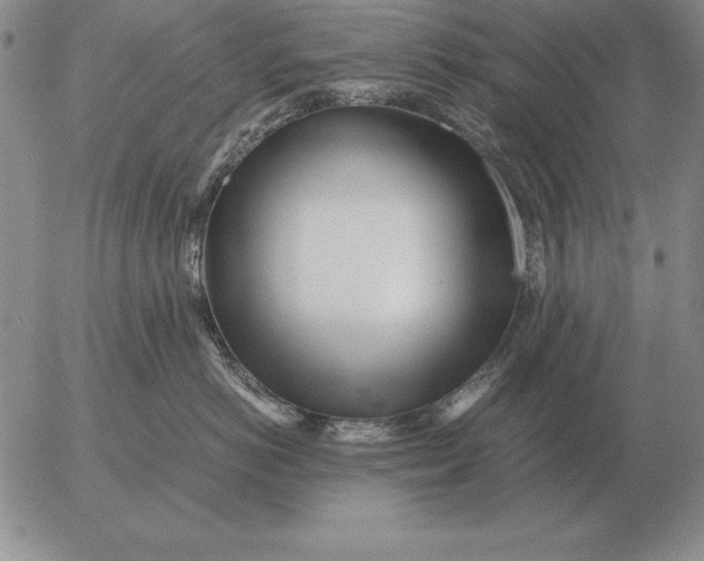 X0000053110766200508012124