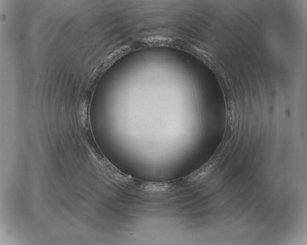 X0000053110767200508012124