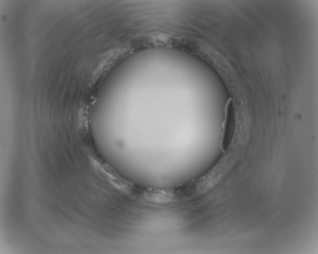 X0000053110768200508012124