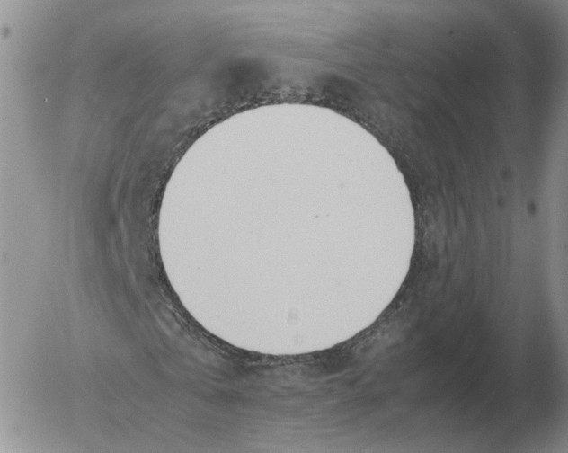 X0000053110769200508012124