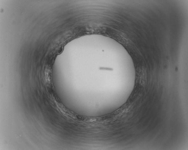 X0000053110770200508012124