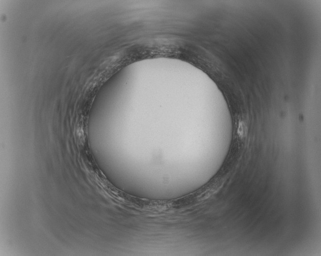 X0000053110771200508012124