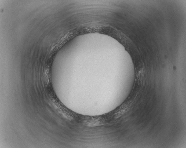 X0000053110772200508012124