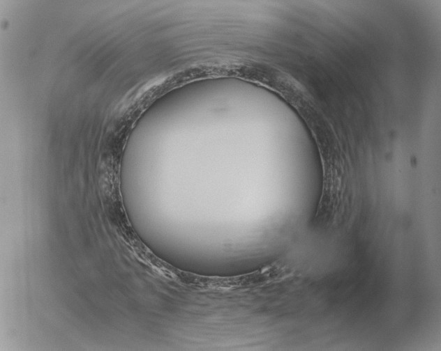 X0000053110773200508012124