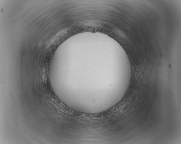 X0000053110774200508012124