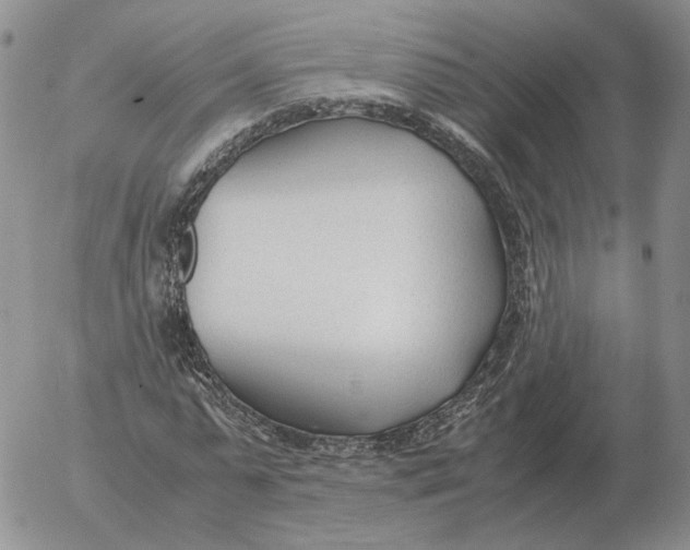 X0000053110775200508012124