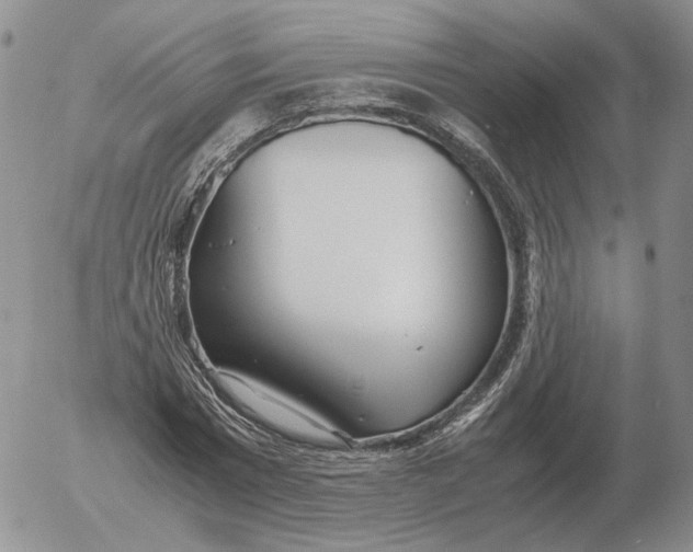 X0000053110777200508012124