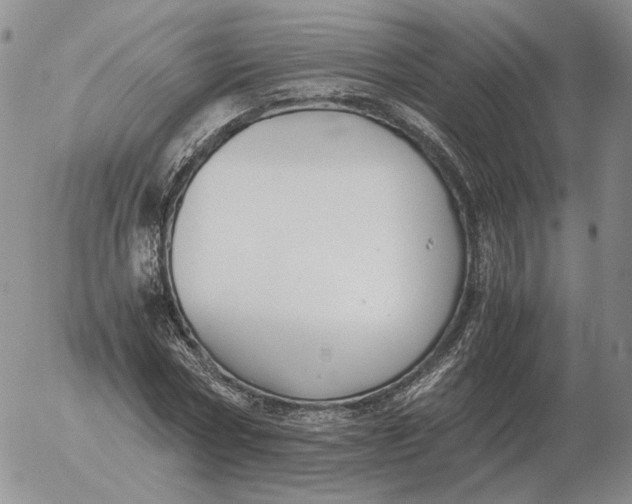 X0000053110778200508012123