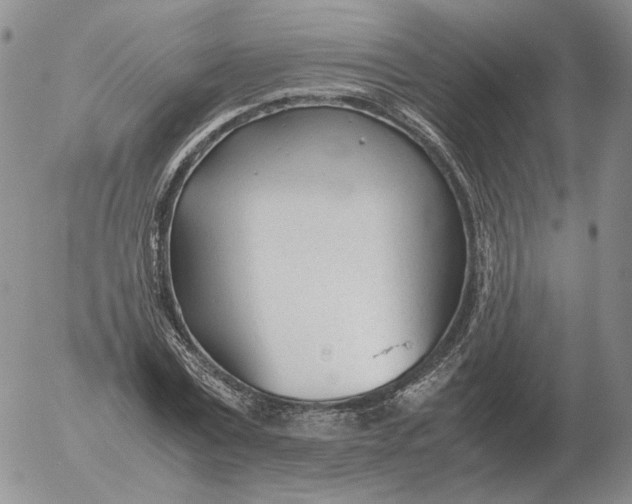 X0000053110779200508012123