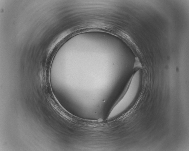 X0000053110780200508012123