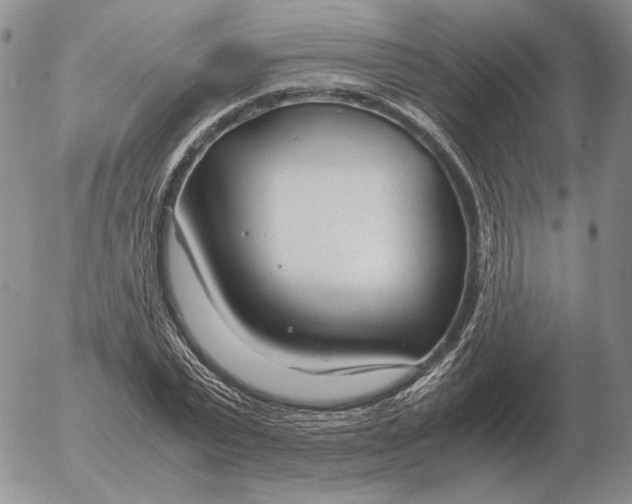 X0000053110783200508012123