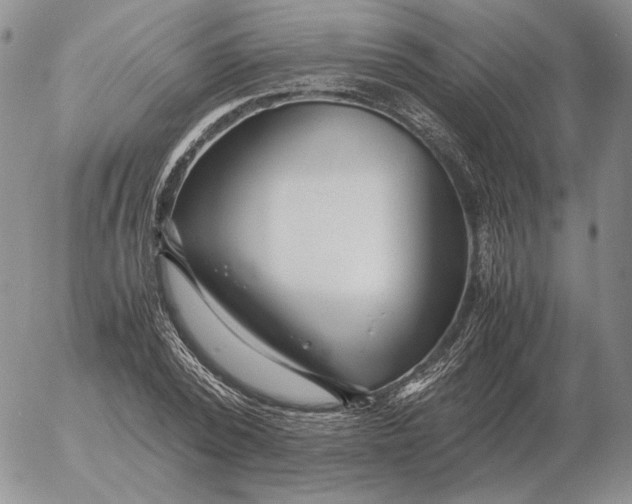 X0000053110784200508012123