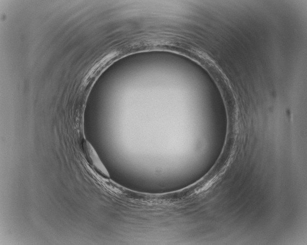 X0000053110785200508012123