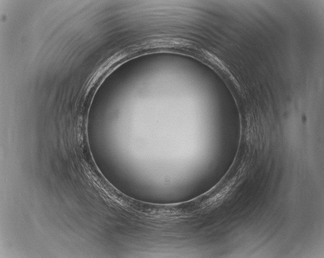 X0000053110786200508012123