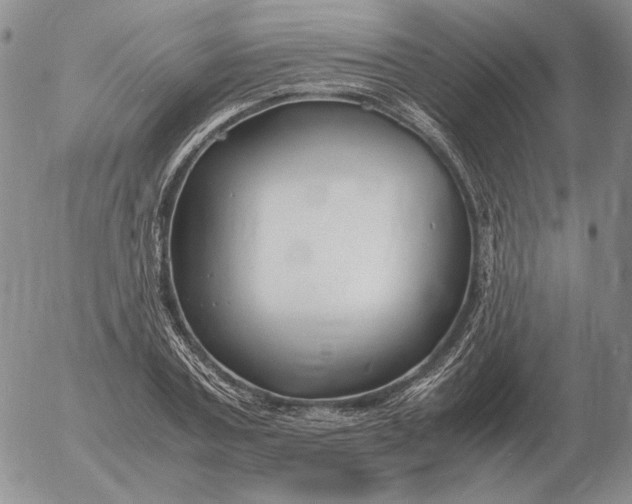 X0000053110787200508012123