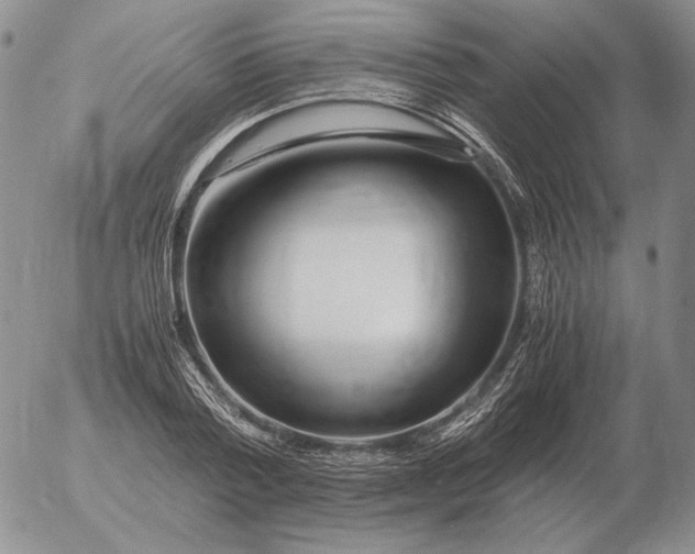 X0000053110788200508012123