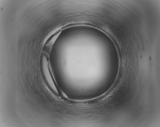 X0000053110789200508012123