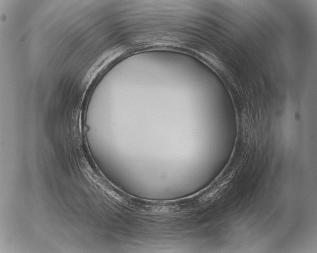 X0000053110790200508012123