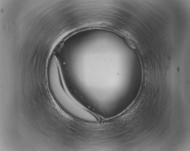 X0000053110792200508012123