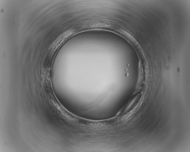 X0000053110793200508012123