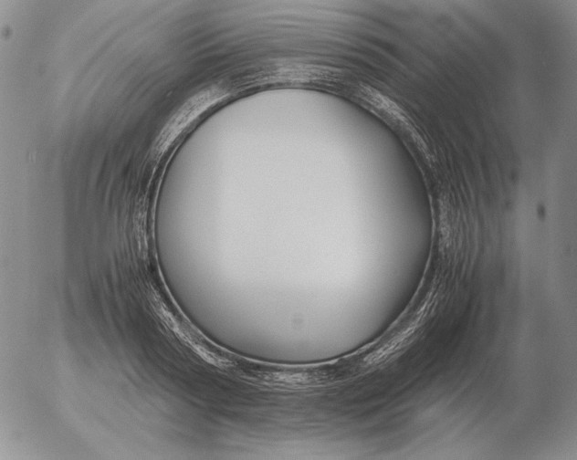 X0000053110794200508012123