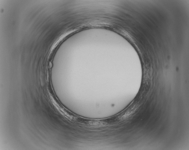 X0000053110795200508012123