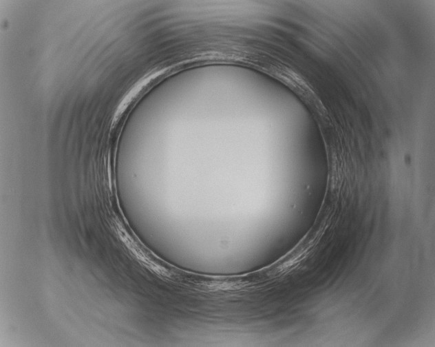 X0000053110796200508012123