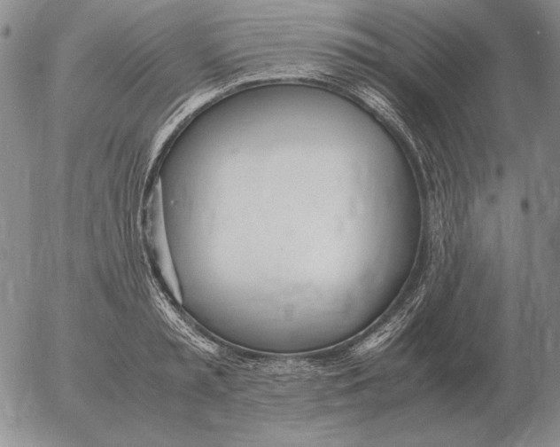 X0000053110797200508012123