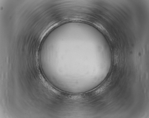 X0000053110798200508012123