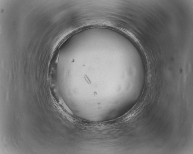 X0000053110799200508012123