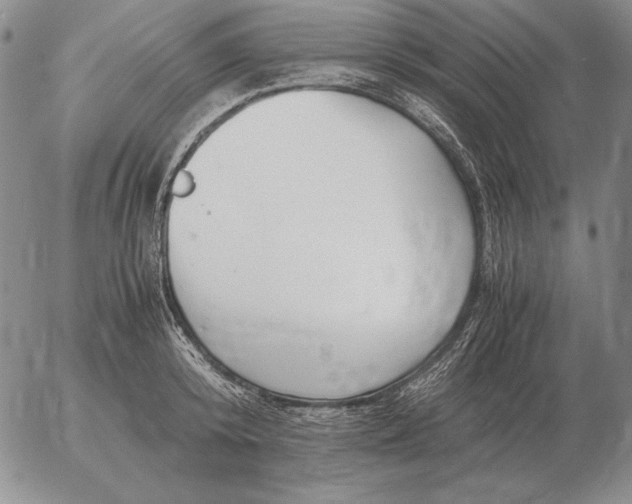 X0000053110800200508012123