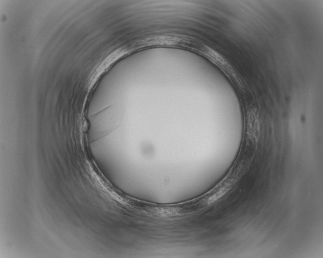 X0000053110802200508012123