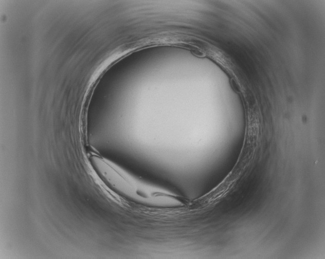 X0000053110803200508012123