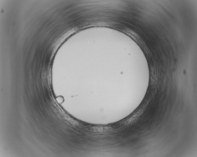 X0000053110804200508012123