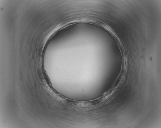 X0000053110805200508012123