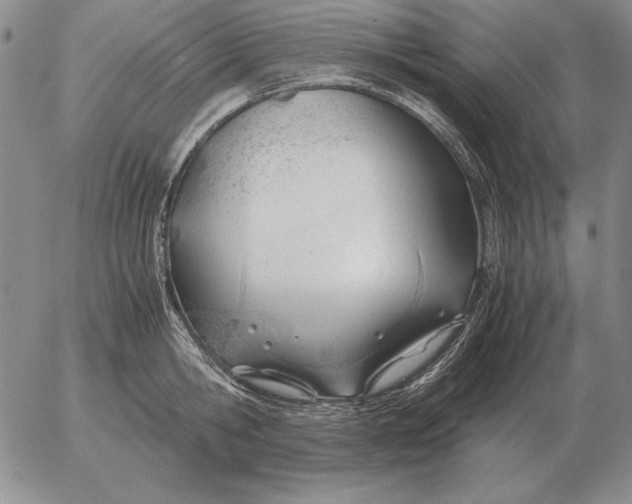 X0000053110806200508012123