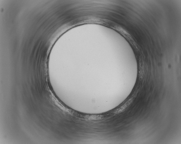 X0000053110808200508012123