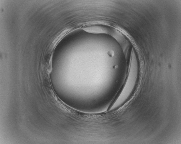 X0000053110809200508012123