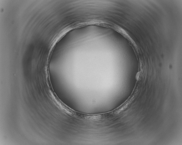 X0000053110810200508012123