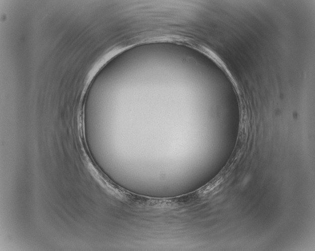 X0000053110811200508012123