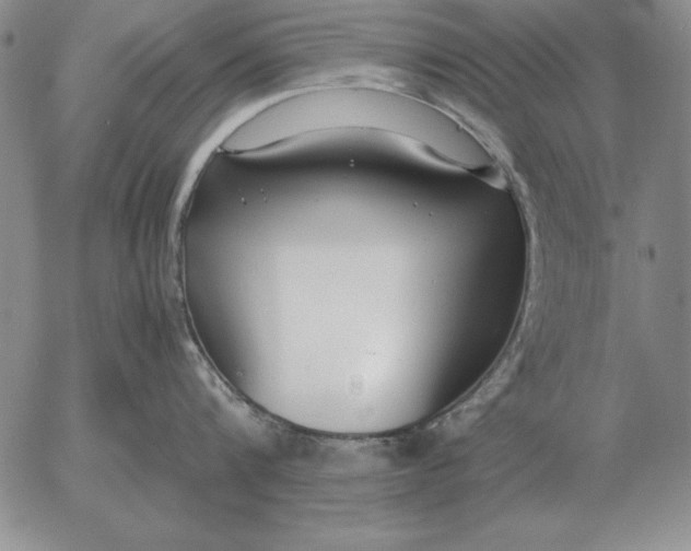 X0000053110816200508012123