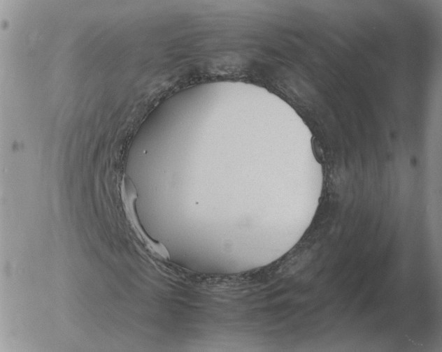 X0000053110817200508012122