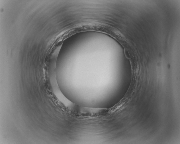 X0000053110822200508012122