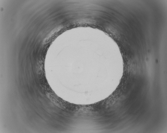 X0000053110824200508012122